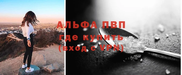 apvp Гусиноозёрск