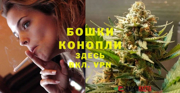 скорость Вяземский