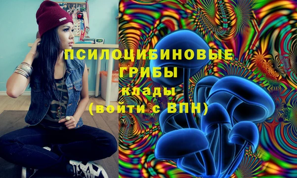 мескалин Гусев