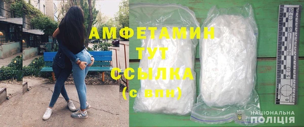 скорость Вяземский