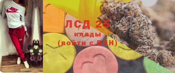 скорость Вяземский