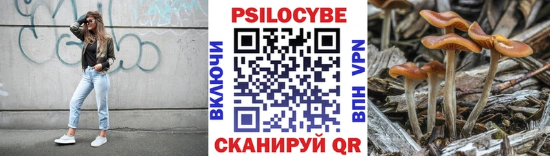 Купить  Сенгилей  Псилоцибиновые грибы прущие грибы 